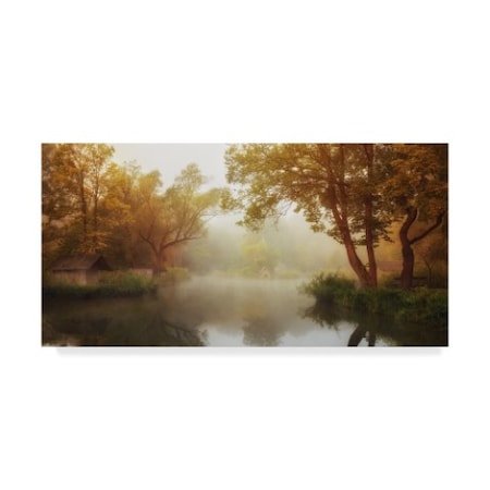 Leicher Oliver 'Foggy Autumn' Canvas Art,24x47
